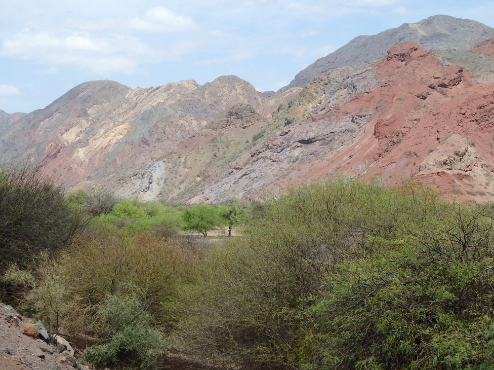 There is much color in this photo image.